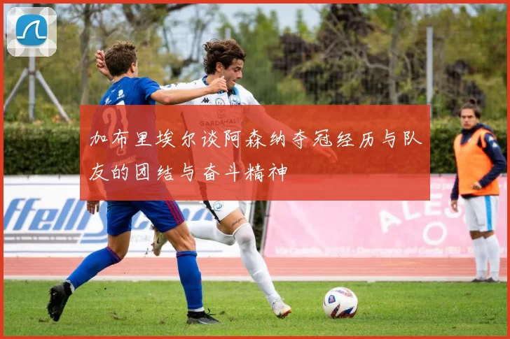 加布里埃尔谈阿森纳夺冠经历与队友的团结与奋斗精神