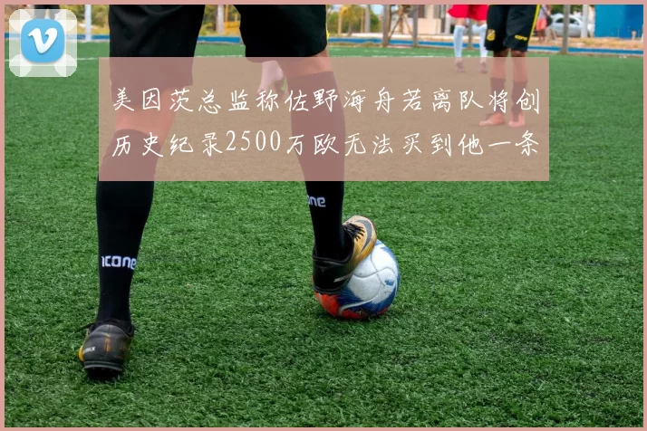 美因茨总监称佐野海舟若离队将创历史纪录2500万欧无法买到他一条腿